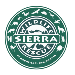 EDH - Sierra Wildlif